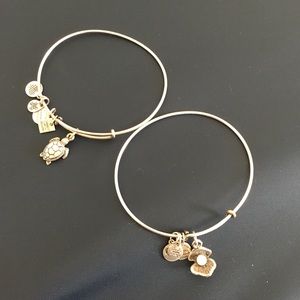 Alex and Ani Bracelet Duo